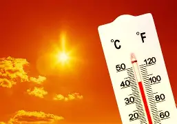 关于热传：苏炳添球队14人名单全的信息